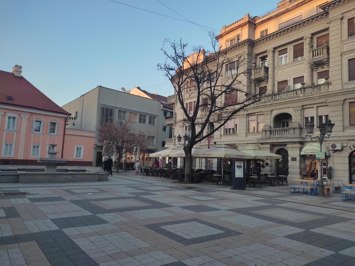Woody Appartement Novi Sad Buitenkant foto